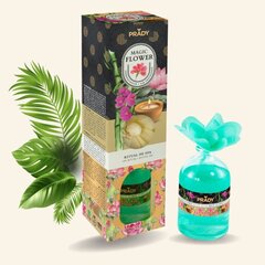 Mājas aromāts PRADY, 100 ml cena un informācija | Mājas aromāti | 220.lv