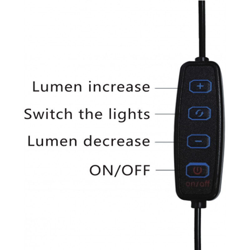 Gredzena formas LED lampa emuāru autoriem ar elastīgu tālruņa turētāju Platinet PMRL3 cena un informācija | Apgaismojums fotografēšanai | 220.lv