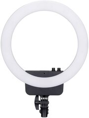 Nanlite lampa Halo16 LED cena un informācija | Citi piederumi fotokamerām | 220.lv