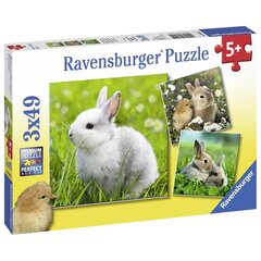 Puzle Mīļie zaķīši, 3 x 49 gab., Ravensburger cena un informācija | Puzles, 3D puzles | 220.lv
