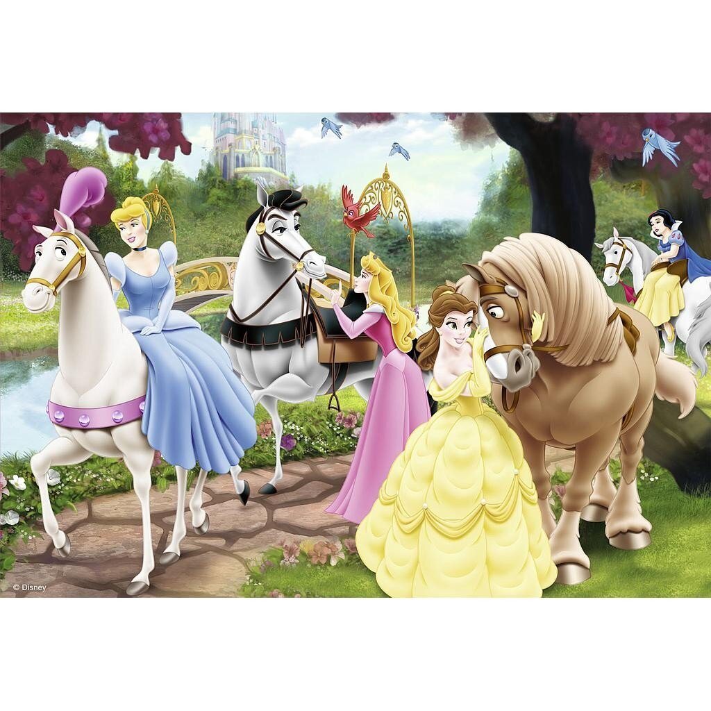 Puzles komplekts Disney Princese цена и информация | Puzles, 3D puzles | 220.lv