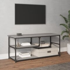 vidaXL TV galdiņš, 103x38x46,5 cm, inženierijas koks, tērauds, pelēks цена и информация | Тумбы под телевизор | 220.lv