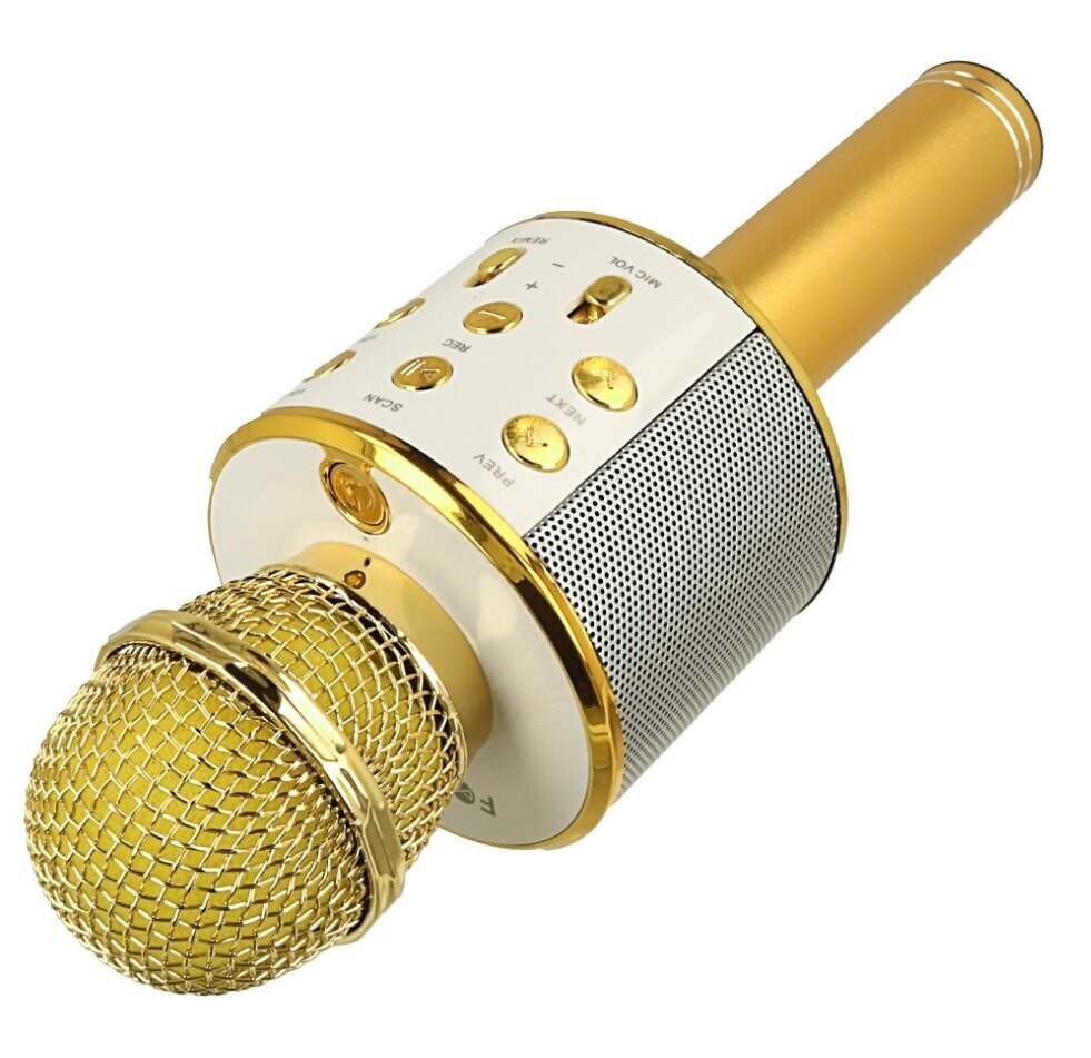 Karaoke mikrofons, Bluetooth цена и информация | Attīstošās rotaļlietas | 220.lv