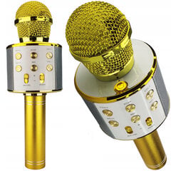 Karaoke mikrofons, Bluetooth цена и информация | Развивающие игрушки | 220.lv