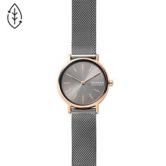 Женские часы Skagen Signatur 891277229 цена и информация | Женские часы | 220.lv