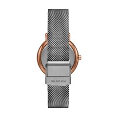 Женские часы Skagen Signatur 891277229 цена и информация | Женские часы | 220.lv