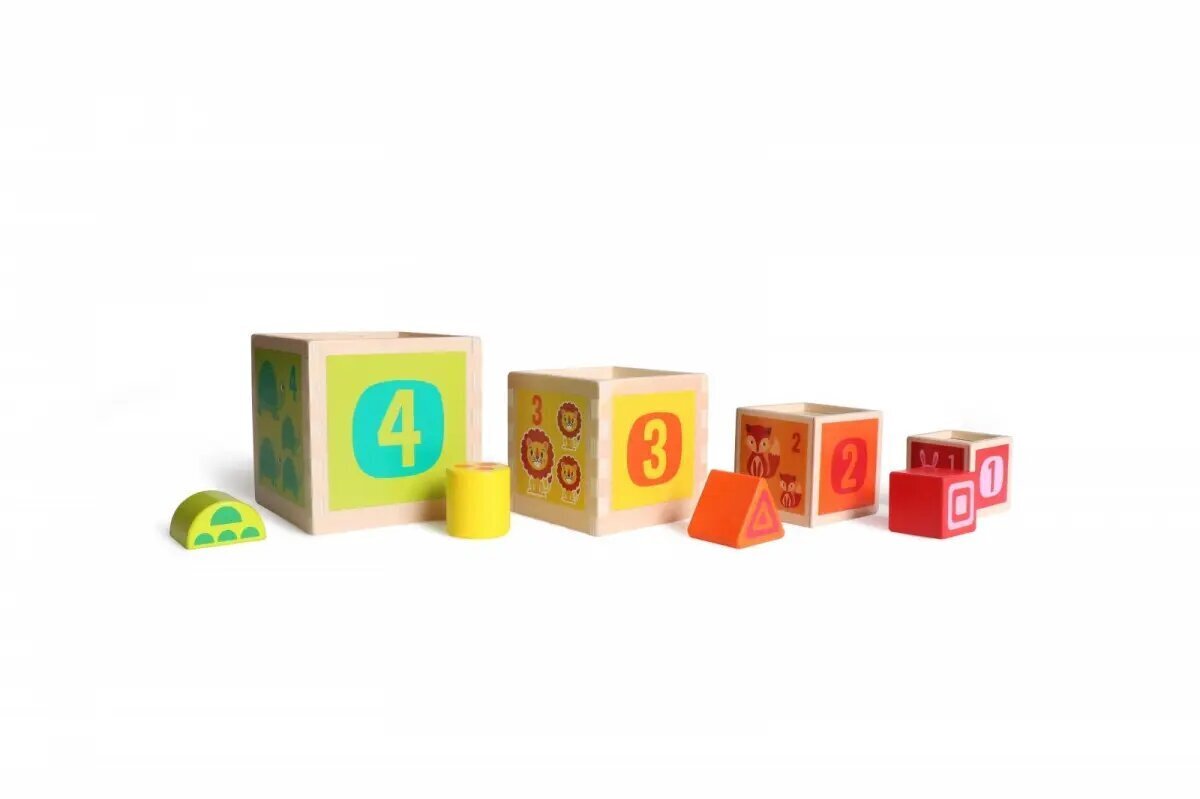 Koka bloku tornis šķirotājs cena un informācija | Rotaļlietas zīdaiņiem | 220.lv