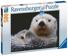 Puzle Ravensburger Sweet Small Otter, 16980, 500 d. cena un informācija | Puzles, 3D puzles | 220.lv