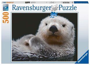 Puzle Ravensburger Sweet Small Otter, 16980, 500 d. cena un informācija | Puzles, 3D puzles | 220.lv