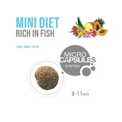 Forza10 Mini Diet alerģiskiem mazu šķirņu suņiem, ar zivīm, 1,5 kg cena un informācija | Sausā barība suņiem | 220.lv