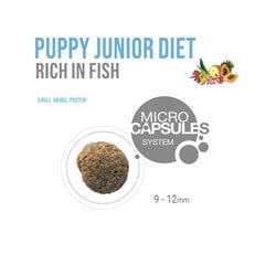 Forza10 Puppy DIET alerģiskiem kucēniem ar zivi, 1.5kg цена и информация |  Сухой корм для собак | 220.lv