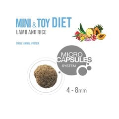 Forza10 Mini & Toy DIET pieaugušiem alerģiskiem mazo šķirņu suņiem ar jēru un rīsiem, 1,5 kg цена и информация |  Сухой корм для собак | 220.lv