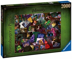 Puzle Ravensburger Villainous, 16506, 2000 d. cena un informācija | Puzles, 3D puzles | 220.lv