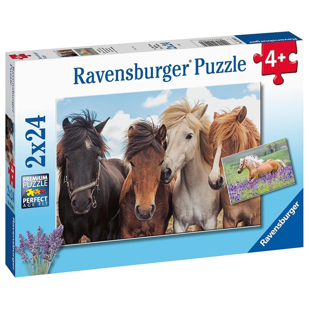 Puzles komplekts Ravensburger Horse Love, 5148, 2x24 d. cena un informācija | Puzles, 3D puzles | 220.lv