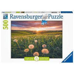 Puzle Ravensburger Pienenes saulrietā, 16990, 500 d. cena un informācija | Puzles, 3D puzles | 220.lv