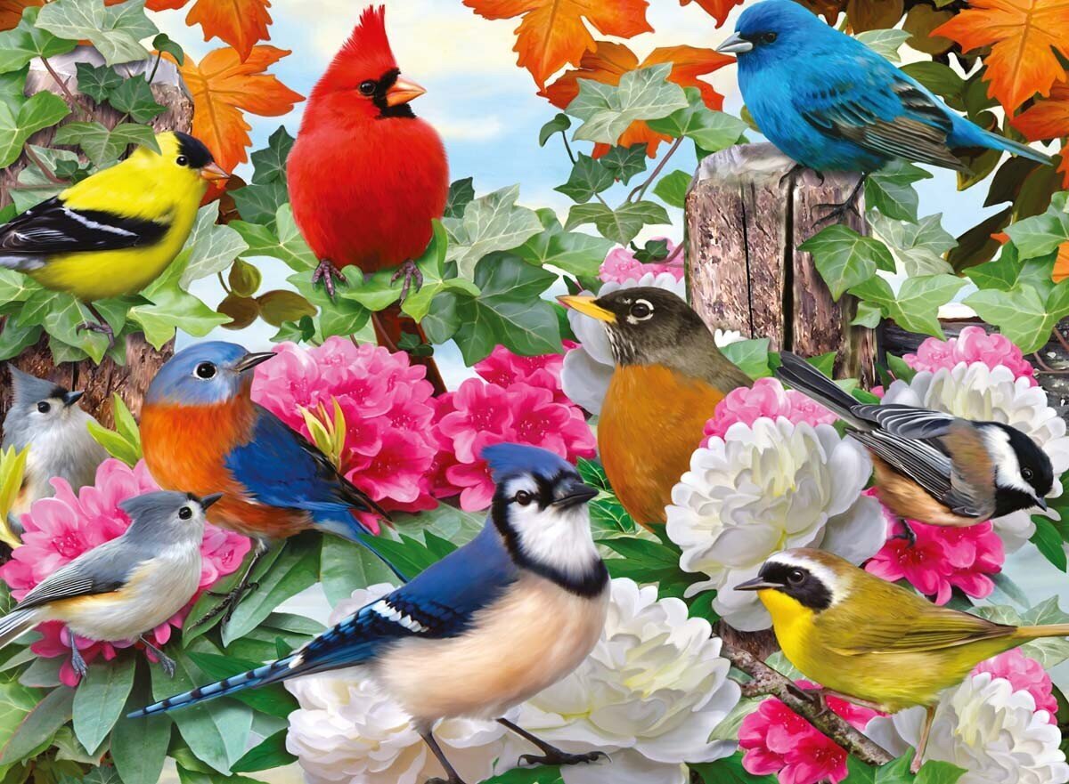 Puzle Ravensburger Dārza putni, 14223, 500 d. цена и информация | Puzles, 3D puzles | 220.lv