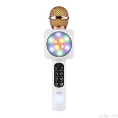 Viedais karaoke mikrofons ar gaismas efektu WS-1816, zelts cena un informācija | Attīstošās rotaļlietas | 220.lv