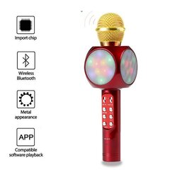 Viedais karaoke mikrofons ar gaismas efektu WS-1816, zelts cena un informācija | Attīstošās rotaļlietas | 220.lv