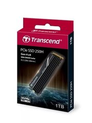 Transcend TS1TMTE250H цена и информация | Внутренние жёсткие диски (HDD, SSD, Hybrid) | 220.lv