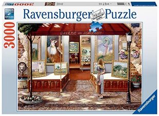 Галерея Fine Art 3000 Piece Buzzle для взрослых и детей в возрасте 12 лет. цена и информация | Пазлы | 220.lv