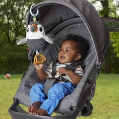 Висящая музыкальная птица Тукан Fisher Price цена и информация | Игрушки для малышей | 220.lv