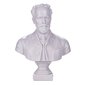 Pjotra Čaikovska statuja, 19,5 cm cena un informācija | Interjera priekšmeti | 220.lv