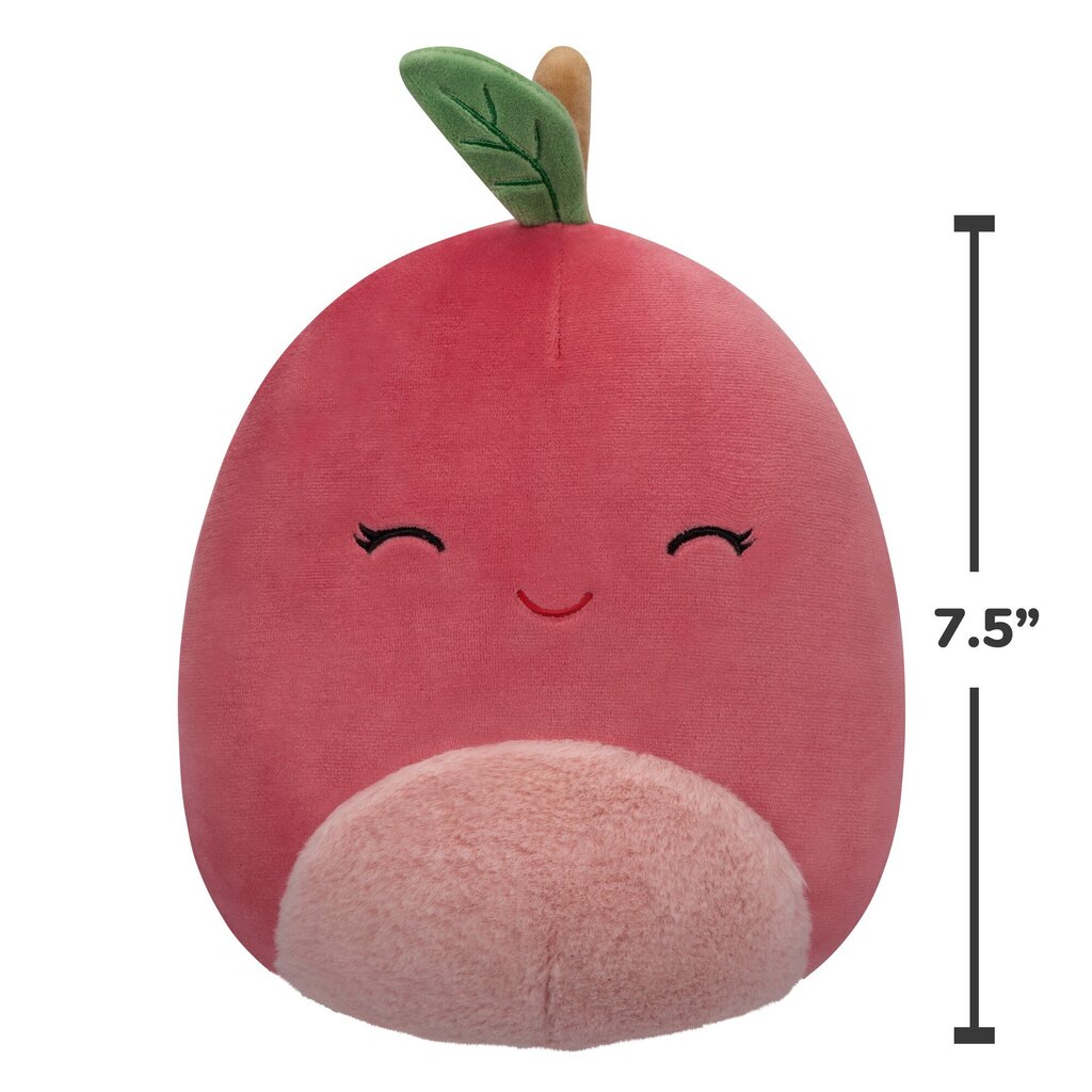 Plīša rotaļlieta Squishmallows W15, 19 cm cena un informācija | Mīkstās (plīša) rotaļlietas | 220.lv