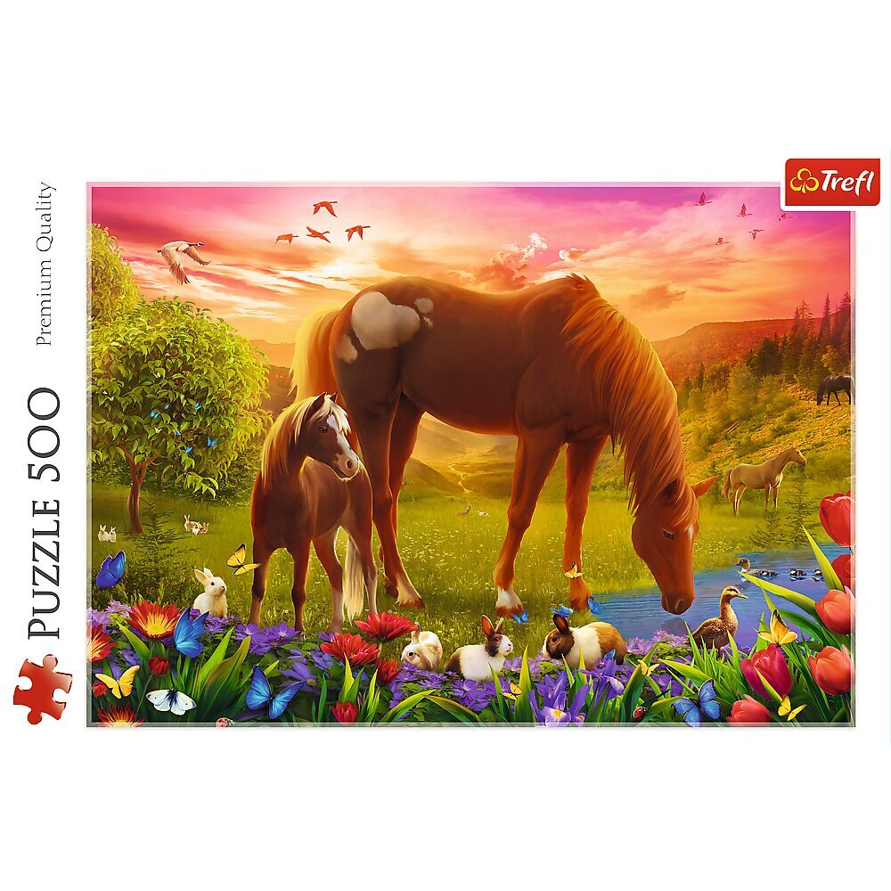 Puzle Trefl Zirgi, 500 d. cena un informācija | Puzles, 3D puzles | 220.lv
