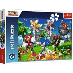 Puzle Trefl Sonic, 160 d. cena un informācija | Puzles, 3D puzles | 220.lv