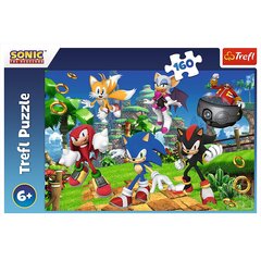 Puzle Trefl Sonic, 160 d. cena un informācija | Puzles, 3D puzles | 220.lv