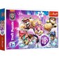 Puzle Trefl Paw Patrol, 30 d. cena un informācija | Puzles, 3D puzles | 220.lv