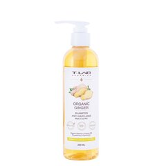 Šampūns vājiem matiem ar ingvera ekstraktu T-LAB Ginger Anti Hair Loss Shampoo, 250 ml цена и информация | Шампуни | 220.lv