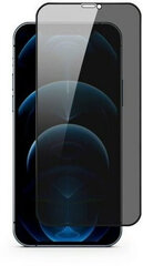 Защитное стекло Epico Edge to Edge для iPhone 12 Max (6,1") цена и информация | Защитные пленки для телефонов | 220.lv