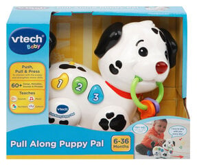 Собачка с веревкой VTECH  цена и информация | Игрушки для малышей | 220.lv