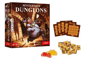 Настольная игра Trefl Mysterious Dungeons цена и информация | Настольные игры, головоломки | 220.lv