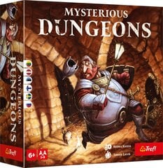 Настольная игра Trefl Mysterious Dungeons цена и информация | Настольная игра | 220.lv