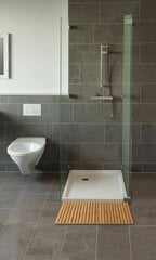 Wenko koka vannas istabas paklājs 50x100cm cena un informācija | Paklāji | 220.lv