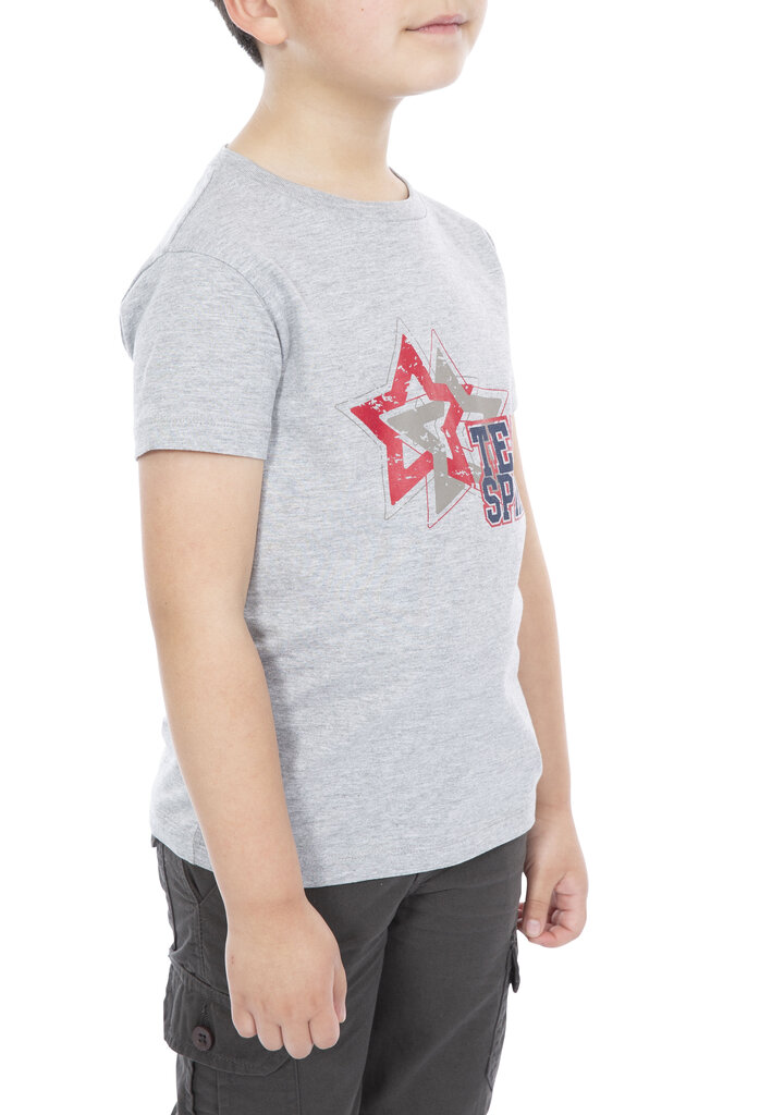 T-krekls zēniem Trespass MCTOTSTR0003 cena un informācija | Zēnu krekli | 220.lv