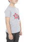T-krekls zēniem Trespass MCTOTSTR0003 cena un informācija | Zēnu krekli | 220.lv