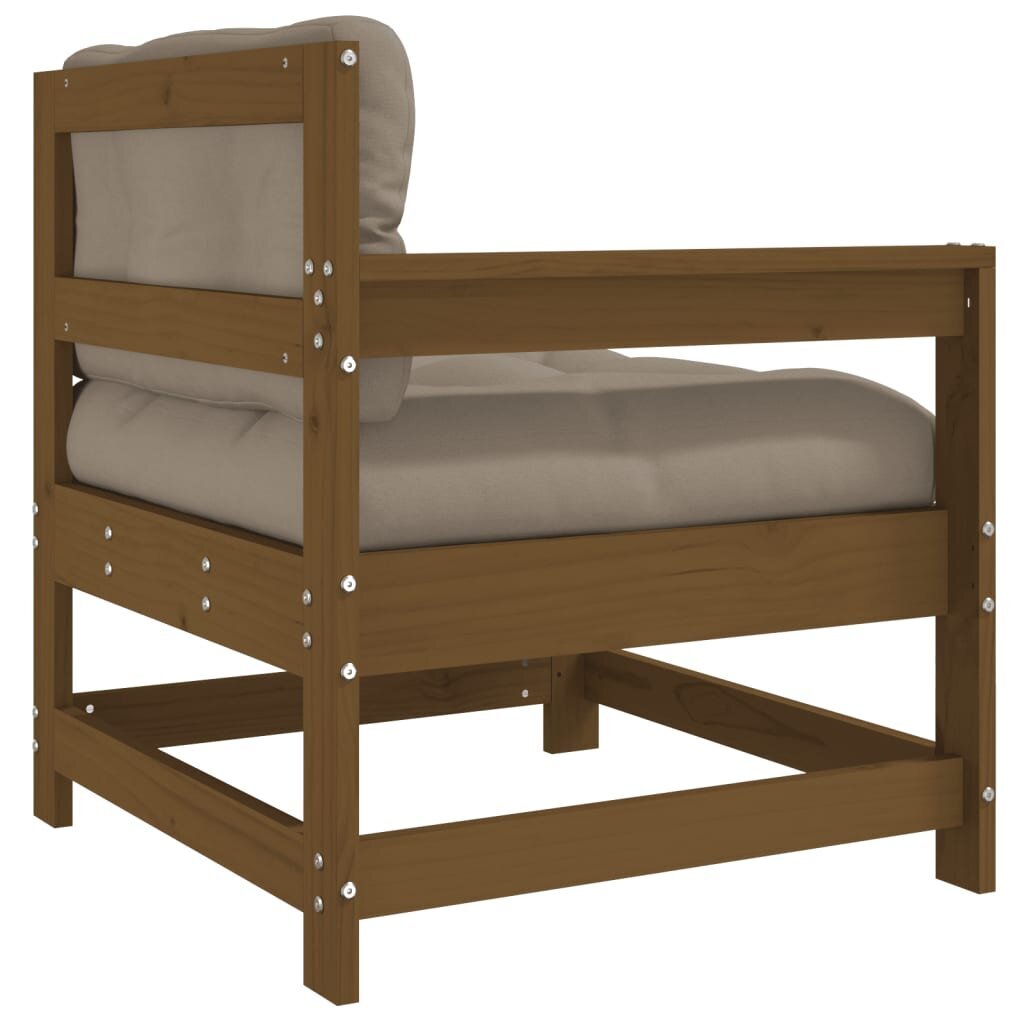 2 daļu dārza krēslu komplekts ar matračiem vidaXL, medus brūns cena un informācija | Dārza krēsli | 220.lv