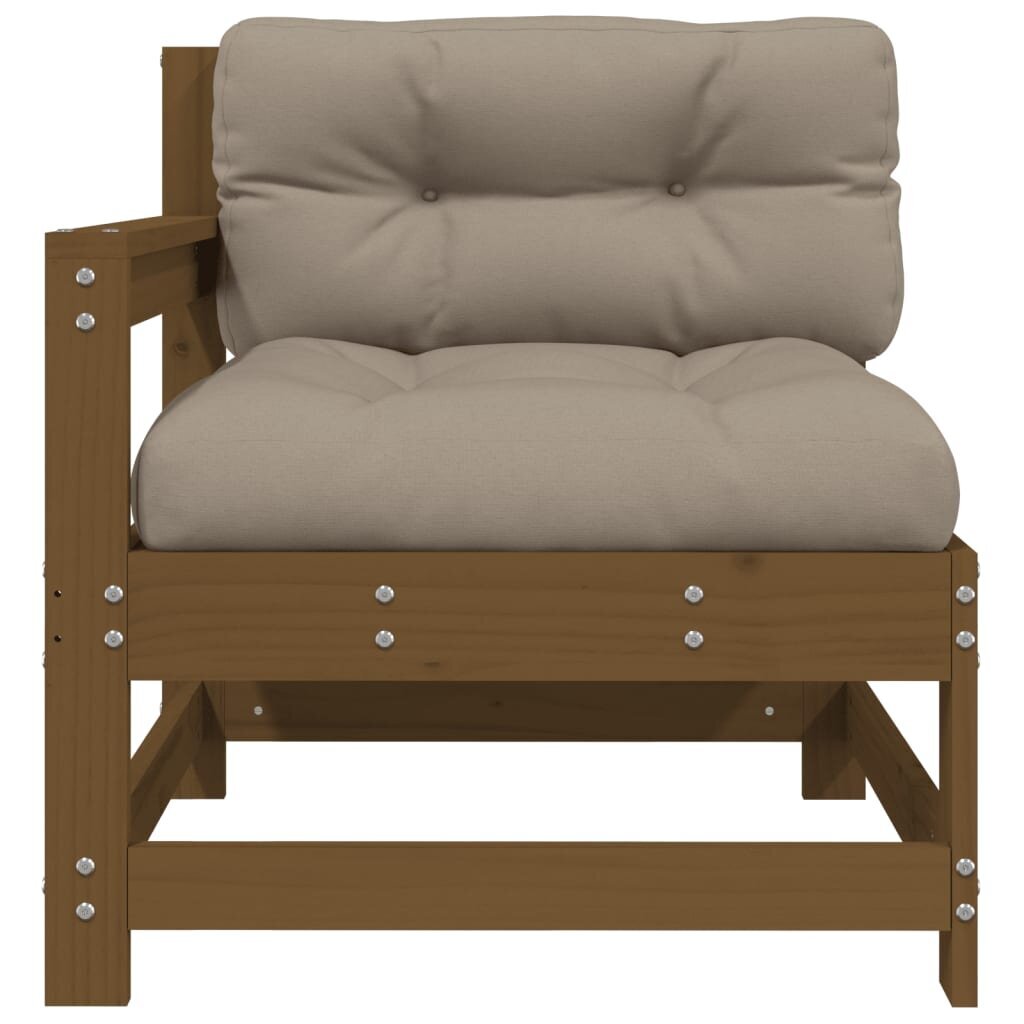 2 daļu dārza krēslu komplekts ar matračiem vidaXL, medus brūns cena un informācija | Dārza krēsli | 220.lv