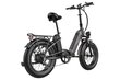 Elektriskais velosipēds FAFREES FF20 Polar, 20", melns, 20,8Ah, 500W цена и информация | Elektrovelosipēdi | 220.lv