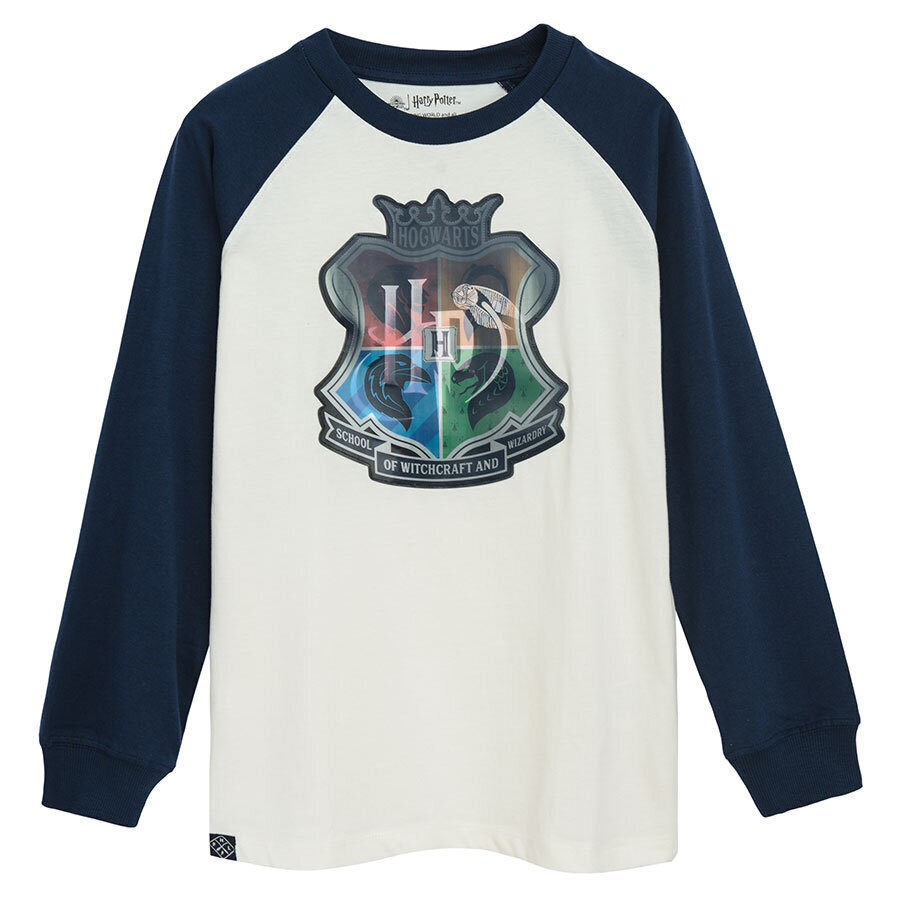 Cool Club džemperis zēniem Harry Potter LCB2721453 cena un informācija | Zēnu jakas, džemperi, žaketes, vestes | 220.lv