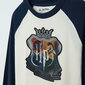 Cool Club džemperis zēniem Harry Potter LCB2721453 cena un informācija | Zēnu jakas, džemperi, žaketes, vestes | 220.lv