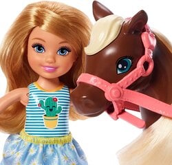 Barbie - Chelsea  and  Pony (Blonde) (GHV78) цена и информация | Игрушки для девочек | 220.lv