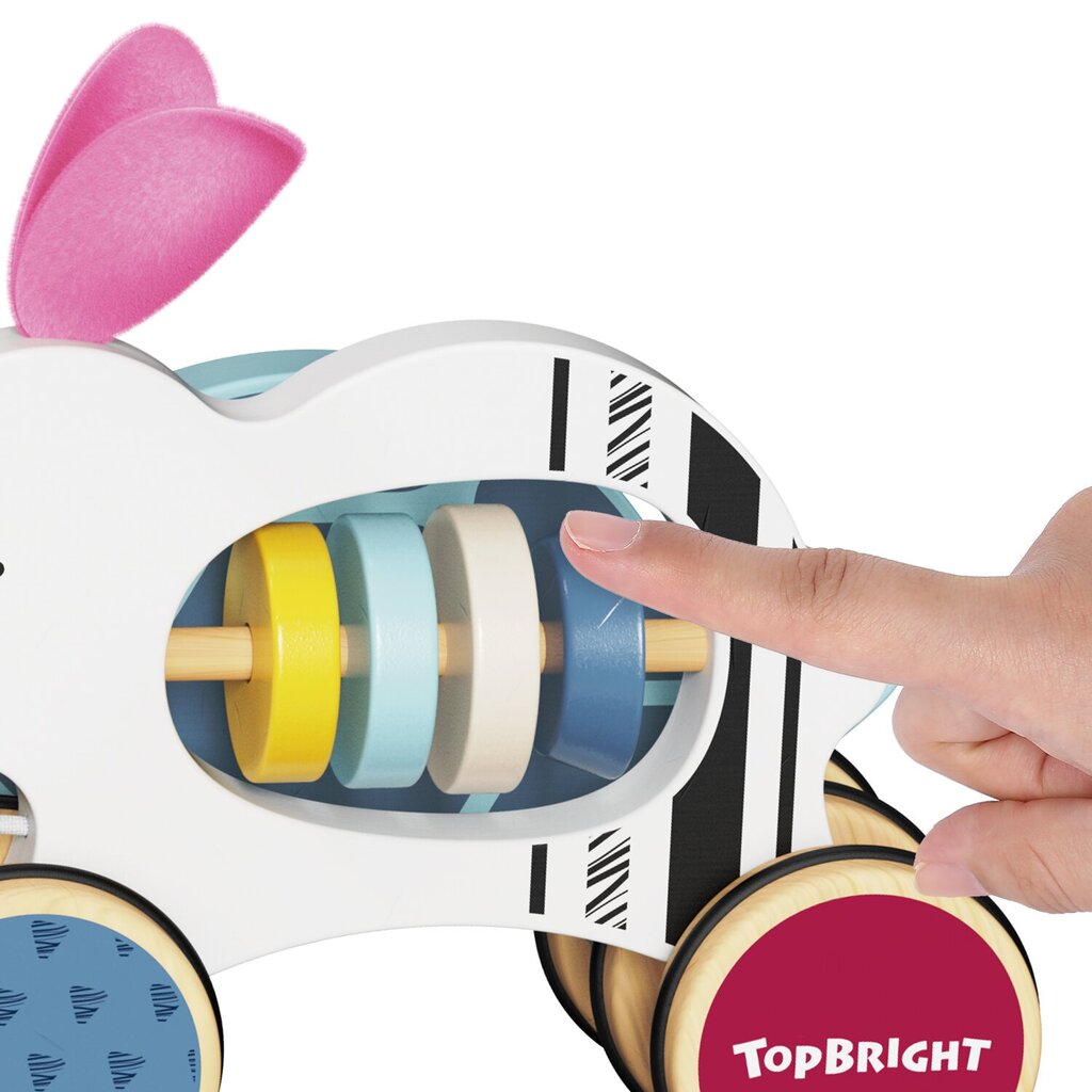 Aktivitāšu rotaļlieta - Zaķis un bruņurupucis, TopBright цена и информация | Rotaļlietas zīdaiņiem | 220.lv