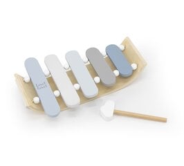 Музыкальный инструмент для детей - Ксилофон, Label Label LLWT-25477 цена и информация | Игрушки для малышей | 220.lv