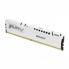 Kingston KF560C36BWE-32 cena un informācija | Operatīvā atmiņa (RAM) | 220.lv