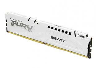 Kingston FURY Beast RD-DDR5-KNG-125 цена и информация | Оперативная память (RAM) | 220.lv