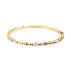 Серебряный браслет The Elegance Bangle цена и информация | Женские браслеты | 220.lv